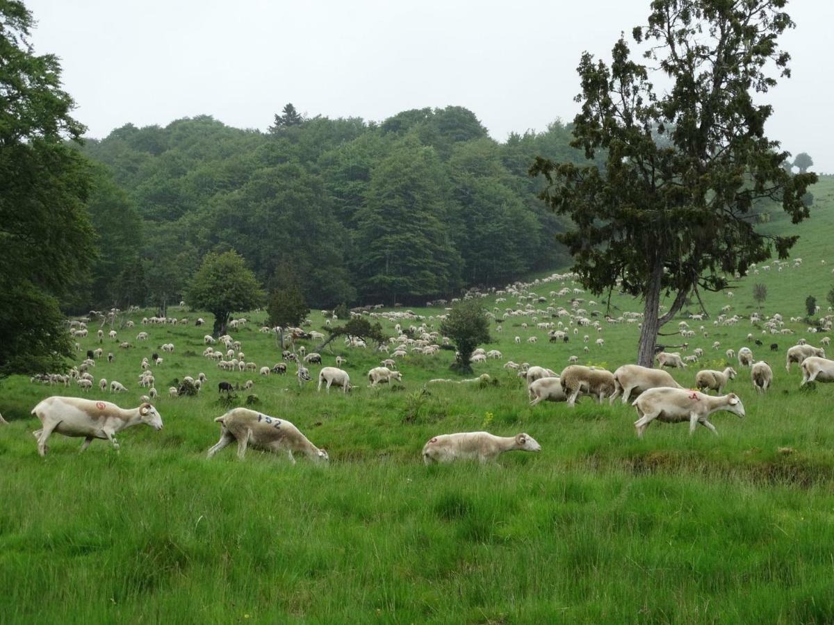 Du Cote De Lacoume Anla Exterior foto